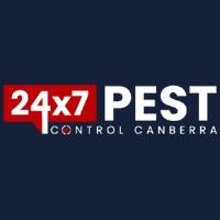 247 Flea Control Canberra image 5
